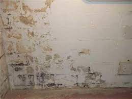 They go on about their lives, oblivious that something might be growing in their basement walls. Green White Yellow Black Mold On Basement Wall Cinder Blocks The Mold Hound