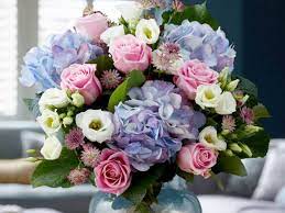 Marks & spencer in jersey is operated under franchise by sandpiperci, with 7 stores across the island covering the. Flowers Plants Online Free Next Day Flowers Delivery M S