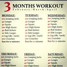 Daily Exercise Schedule Workout Schedule Gym Workouts
