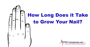 Shop our great selection of nail nail & save. Thursday Thought How Long Does It Take To Grow Your Nail