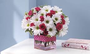 We did not find results for: Same Day Flower Delivery In Champaign Il 1st In Flowers