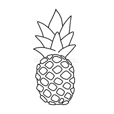Hand drawn vector doodle illustrations in black isolated over white background. Tropical Pineapple Fruit Black And White Icon Hand Drawn Outline Illustration Stock Illustration Illustration Of Dessert Contour 124602639