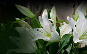 Ronnie Eugene Fowler