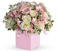 Maybe you would like to learn more about one of these? Same Day Delivery Flower Delivery Semaphore Same Day Florist Delivery Roses Of Elizabeth