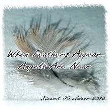 Feathers Appear when Angels are Near… What is The Meaning of a ...