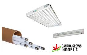 Check spelling or type a new query. Top 8 Best T5 Grow Lights 2021 Reviews And Buyers Guide