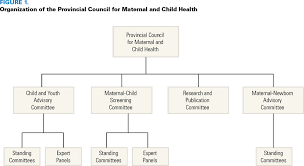 Ontarios Provincial Council For Maternal And Child Health