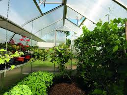 This way you have it for seed trays etc in the. Greenhouse Shelving Ideas To Optimize Space Greenhouse Emporium