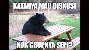 Jika kamu adalah seorang pecinta kucing ada banyak kucing lucu wallpaper yang bisa kamu pasang di hpmu baik iphone maupun android. Gambar Lucu Grup Sepi Harian Nusantara