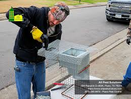 At plano pest control we spend hours training our pest control technicians to be an expert with pesticide chemicals, pest identification and pesticide application. Pest Control Gallery For All Pest Solutions 972 442 1169