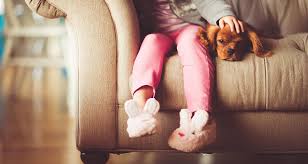 Have questions about pest control? 10 Things You Need To Know Before Hiring An Exterminator Springer Professional Home Services