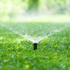 Watering your lawn to perfection is actually a fine art. Water Your Lawn Different Ways To Keep Your Lawn Hydrated