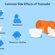 Conzip Tramadol Uses Side Effects Precautions
