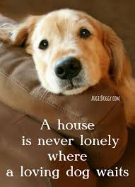 A House Is Never Lonely Where A Loving Dog Waits Quote Dog Waiting Dog Quotes Dogs Golden Retriever