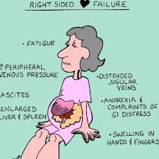 Acdfbe0f6c40bdd4739169ce245c156d Jpg 640 640 Pixels Nursing School Survival Surgical Nursing Nurse