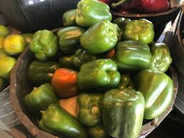 We did not find results for: Bell Pepper Price Per Pound Rodin Farm The Fruit Stand