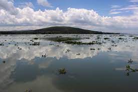 .regard the kenyan sheriffalty of naivasha. Den Wolken Ganz Nah Unterwegs Auf Dem Naivasha See Kenia Foto Bild Wolken Himmel Natur Bilder Auf Fotocommunity