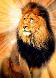 Majestic Lion Lion Of Judah Shabbat Shalom Happy Sabbath