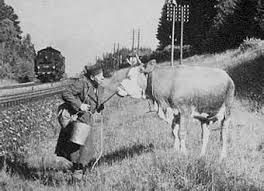 Résultat de recherche d'images pour "la vache et le prisonnier"