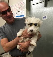 Client Photos — StarView Jack-A-Poos