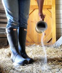When you understand how desect hg diatomaceous earth insecticide works you will understand how to apply it most effectively. All About Diatomaceous Earth In Your Chicken Coop Garden And Home Fresh Eggs Daily