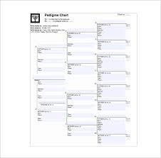 Pedigree Chart Template 9 Free Sample Example Format