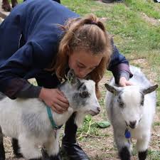 Varndean School Varndean Goats Get Their Own Podcast