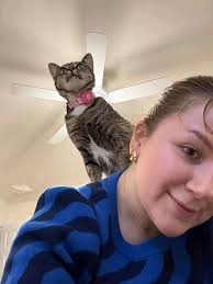 Downtown Toronto summer sublet available June 1st