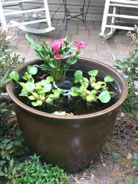 Water Garden Costco Container Container Fountain From Lowes Some Water Hyacinth And A Few Goldfish Total Project About 50 Prudy Sad Mini