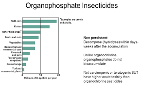 Organophosphate