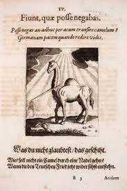 16 fl oz (pack of 6). Dromedary Wikipedia