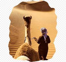 Welcome back to burj khalifa, your safety is our priority. Llama Burj Al Arab Jumeirah Hotel Video Dubai United Arab Emirates Camel Camelid Png Klipartz