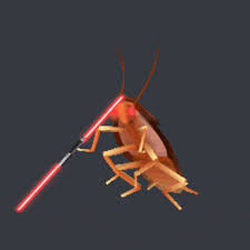 Darth Maul Cockroach Dancing Cockroach In 2021 Cockroaches Memes Know Your Meme