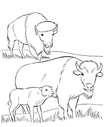 Stegosaurus children who love dinosaurs can easily recognize stegosaurus thanks to the thorny horns growing on its back in dinosaur coloring pages. Bison Coloring Pages Coloring Home