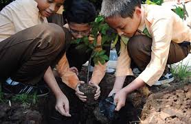 Tolong bantu kaka butuh (╥﹏╥). Materi Dan Kunci Jawaban Tematik Kelas 5 Tema 5 Subtema 3 Halaman 142 144 Gawe Kami