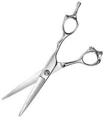 Paul Mitchell Professional The Scissor 6 0 Paul Mitchell Paul Paul Mitchell Schools