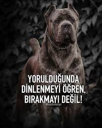 Dinlenmek Serbest Pes Etmek Yasak Motivasyon Kisiselgelisim Pozitifdusunce Basari Motivate 2020 Motivasyon Sozleri Motivasyon Pozitif Dusunceler