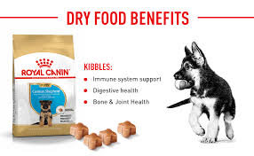 Our last topic involves the difference between a. Royal Canin German Shepherd Puppy Dry Dog Food 3 Kg Amazon In Pet Supplies