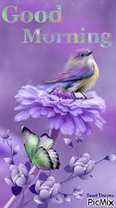 We did not find results for: Purple Bird Morning Picmix