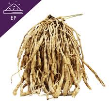 Image result for Asparagus racemosus