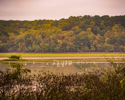 As of the 2010 census, the population was 9,375 and a population density of 8 people per km². Humphreys County Kentucky Lake Fishing Camping Civil War History