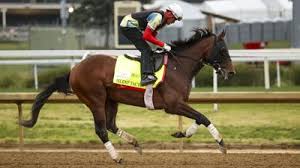Silent Tactic scratched from the Kentucky Derby with a foot issue; Great White moves into field