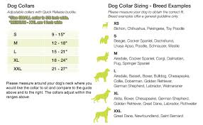 72 Conclusive Newfoundland Dog Size Chart