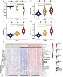 Xxvii xxiii xxiv japan 2018 : Preclinical Analysis Of Novel Prognostic Transcription Factors And Immune Related Gene Signatures For Bladder Cancer Via Tcga Based Bioinformatic Analysis
