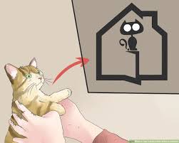 Kittens walk with a tiny chicken. How To Feed A Baby Kitten Without A Mother With Pictures