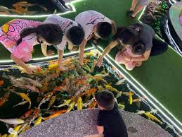 If you're looking for bizarre events, unique travel destinations, weird inventions, freaky characters or odd art, you'll most likely find. 08iljdqerd4onm