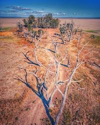 Dry Season At Winton Wetlands Trail Lunette Walk Leading To The Spit Benalla Wangaratta Victoria Bendigoaerial Uas Cer Wetland Drone Photos Instagram