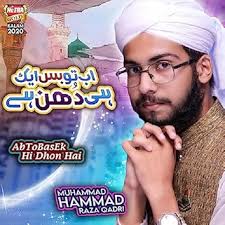 Muhammad Hammad Raza Qadri