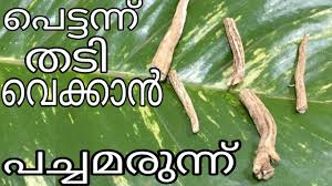 Eat less than you burn and you'll lose weight. How To Gain Weight Ayurvedic Tips In Malayalam How To Gain Weight Fast Weight Gain Malayalam Youtube