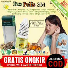 Cedera akibat kecelakaan atau terhantam benda dengan keras yang mengenangi bagian telinga dan bagian kepala dapat menjadi penyebab telinga berdengung seperti kemasukan air. Cod Obat Telinga Kemasukan Air Sakit Berdengung Nyeri Tuli Sebelah Kanan Sebelah Kiri Propolis Shopee Indonesia